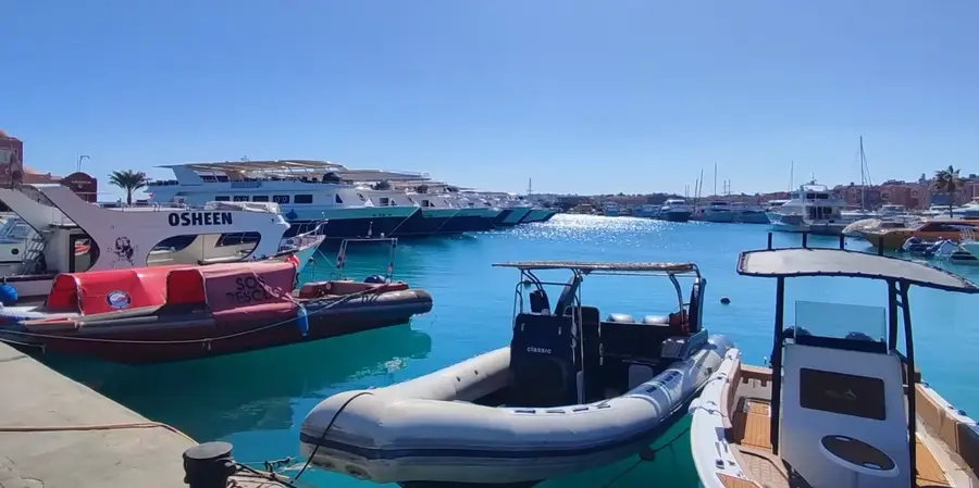 Boats moored along the marina