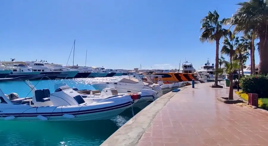 Speedboats ready for excursions